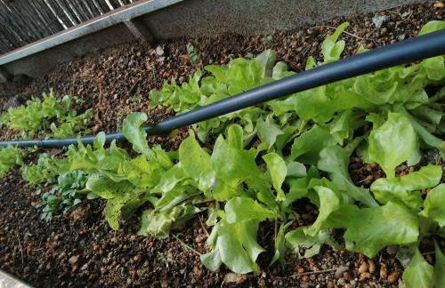 La casita Del Río. - Foto 29