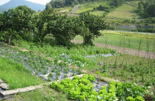 Casa Rural Garabilla - Foto 38