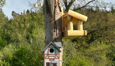 Leśny Park Polanica - Foto 3, Garden, Garden view