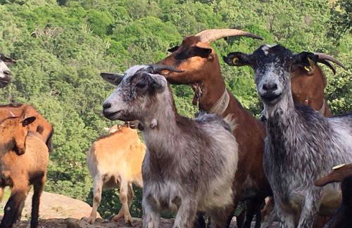 AT Rural NAVALINDA - Foto 23