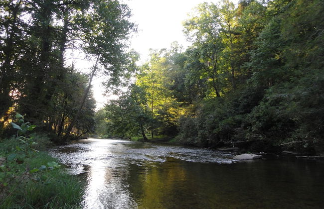 VCI - Elderberry Overlook - Foto 27