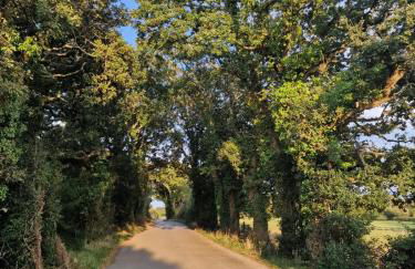 Luxury Seaside Caravan - Foto 16