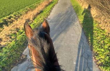 Kuschelige Ferienwohnung auf Reiterhof - Foto 6