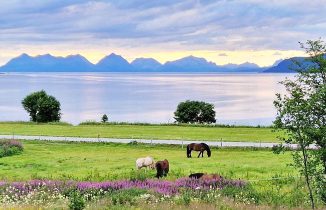 6 Person Holiday Home in Hamnvik - Foto 20