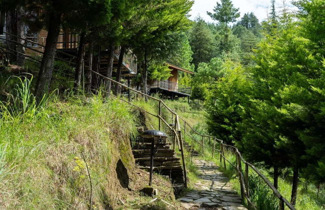 Nirvana Dhar Nature Resort - Foto 16