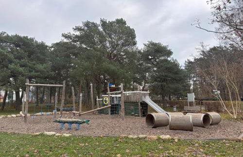 Muschel am Strand - Foto 16