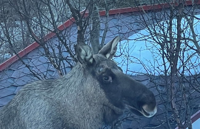 Tromsø Apartments - Foto 6