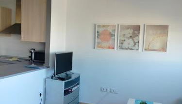 Condado de alhama, naranjos 8 - Foto 3