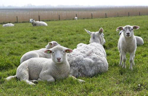 Sandkorn 1 - Foto 17