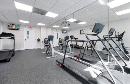 Free Shuttle Mickey Universal Epic SeaWorld - Foto 45