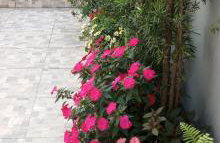 Casa bem te vi - Foto 25