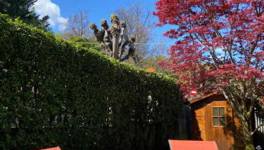 Appartamento rosada - Foto 3