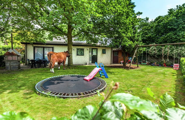 Uden Chalet With Scenic Terrace - Foto 32