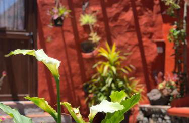 Casa terrera "El Granero" - Foto 31