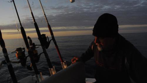 Apartments Silvana - Foto 3