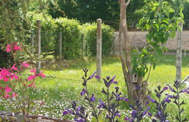 La maison des doux souvenirs - Foto 33