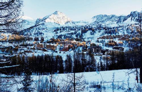 Superbe T2 à Isola 2000, casier à ski, wifi - Photo 19