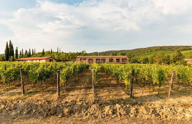 Tenuta Casteani - Foto 61