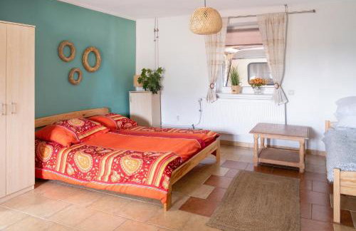 Agroalpaka Mazury - Foto 53