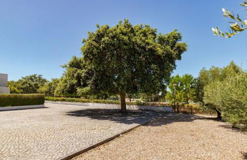 Casa do Sobreiro - Foto 29