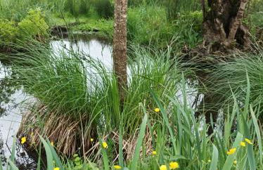 Le logis de LANGE apt Les Aigrettes - Foto 13