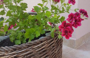 Studio apartment Laura || - Photo 10