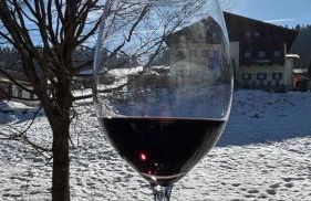 Winterwohnung Almberg - Foto 17