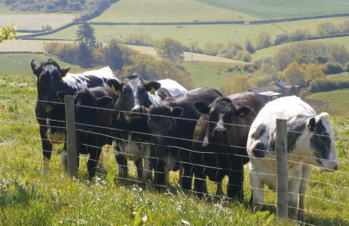 The Brick Barn, Drewsteignton - Foto 1