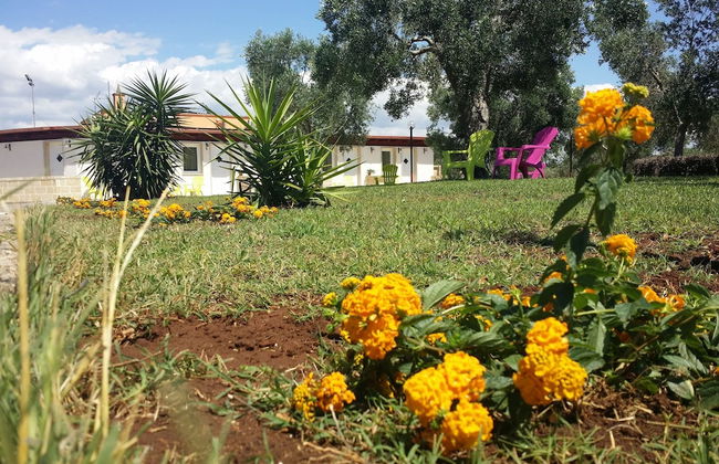 Agriturismo Terra D'Ulivi - Foto 49