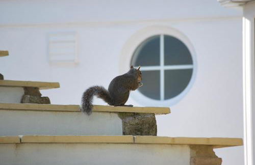 The Lodge, Polgooth - Foto 20