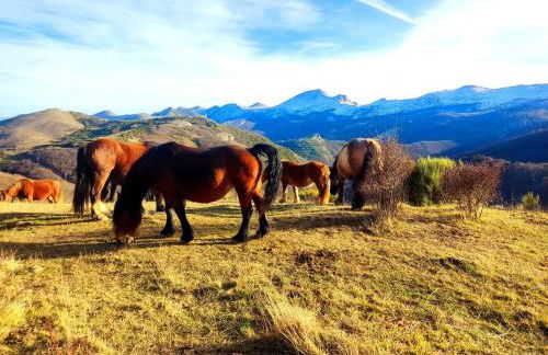 La Casita De La Montaña - Foto 8