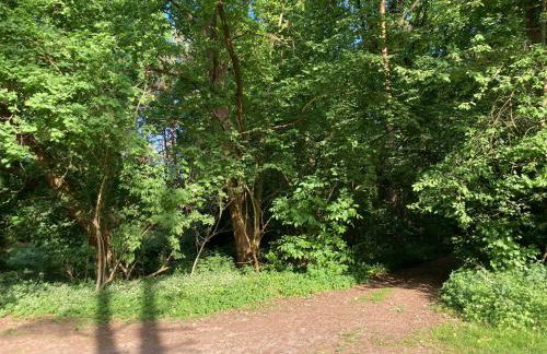 Gemütliches Ferienhaus am See, privater Steg, bei Berlin - Foto 29