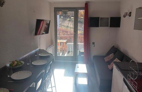 Location semaine 7 nuits du samedi au samedi Studio 20m2 cozy 4pers au pied d une piste bleu accès remontés - Foto 14