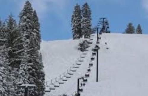 Read Haven 3 Bedroom, 1.5 Bath - Photo 19