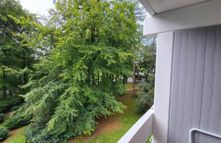 Ferienwohnung am Kurpark Ehlscheid - Foto 7