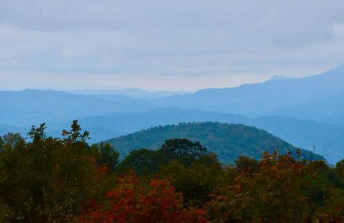 Paws at the Peak - Foto 30