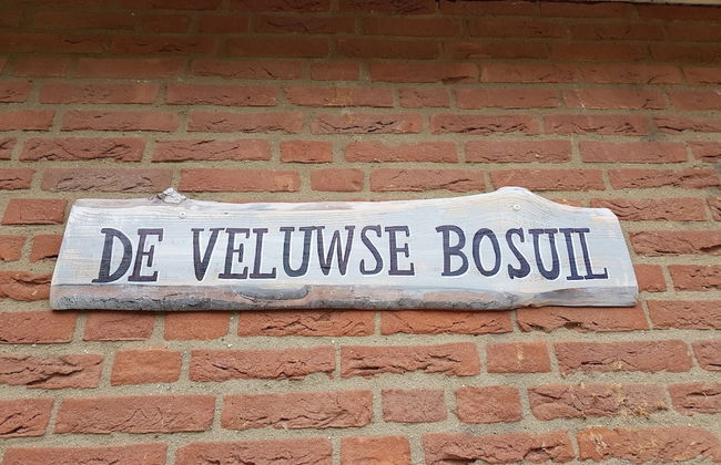 Holiday Home in Garderen With Garden - Photo 34