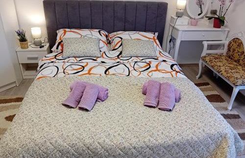 Apartmani Ani - Foto 52