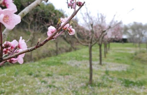 Casa Rosi, in campagna, relax tra mare e montagna - Foto 25
