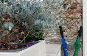 La casina Versilia - Photo 22