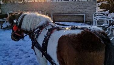 Apartament w Zagrodzie - Foto 2