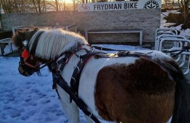 Apartament w Zagrodzie - Foto 2