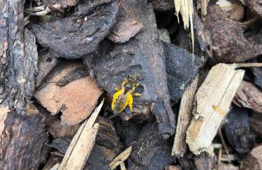 110qm Countryside Loft - Foto 45