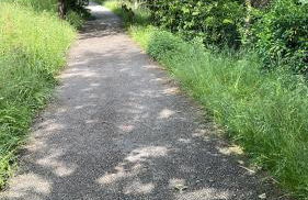 Laghi di Como appartamento di Licinia e Mario - Foto 11