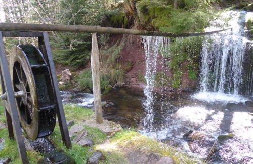 Schwarzwald-Ferienwohnungen Begert - Foto 39