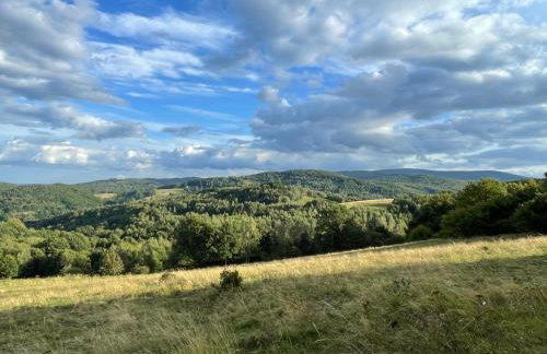 Drewniany dom w brzozowisku - Foto 60