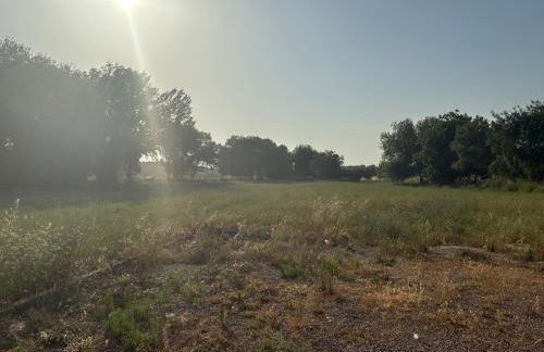 Monte do Vale - Foto 11