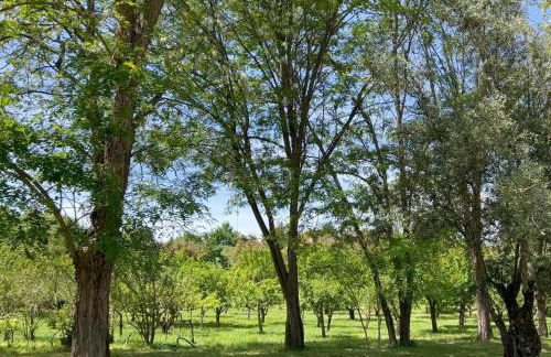 Quinta da Mata de Baixo - Foto 3