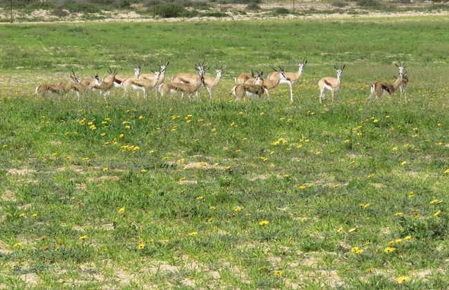L'Ermitage Quagga Lodge - Photo 36