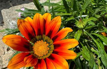 Casa das Castanhas - Cinfães, Viseu - Photo 64